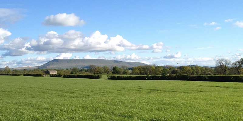 We have been growing and managing grassland for 60yrs.