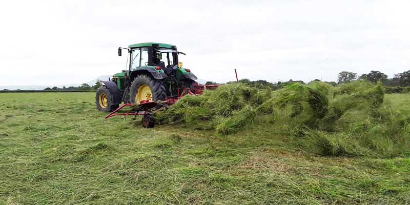 We turn and turn until the moisture content is just right