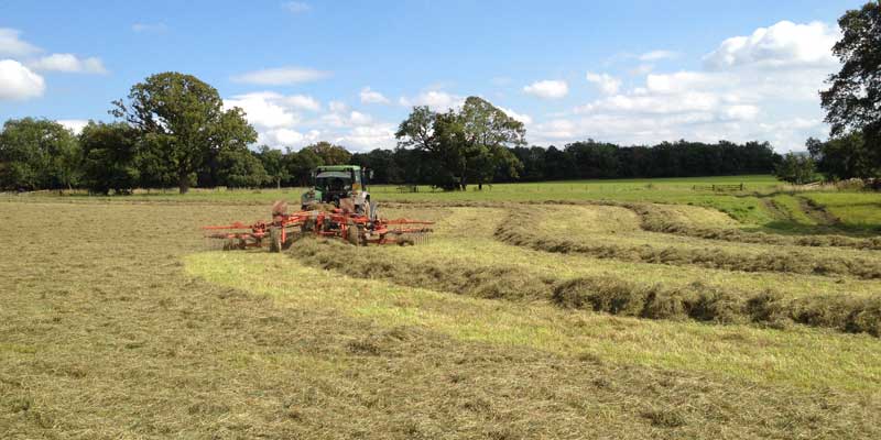 We row it up ready for baling