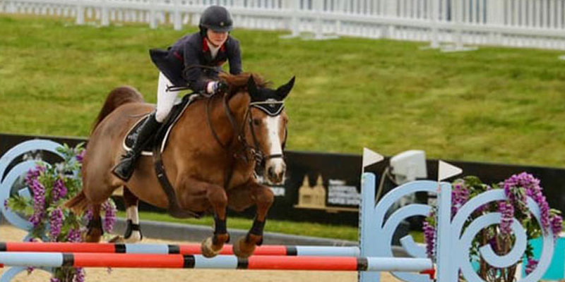 Then our products are ready to nourish your horse