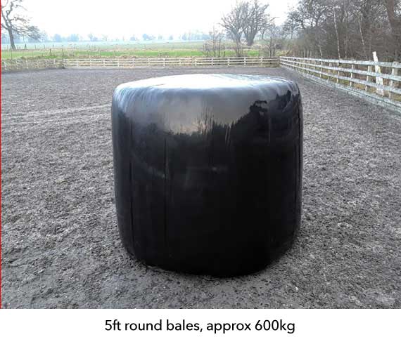 Each of the 5ft round bales weighs around 600kg
