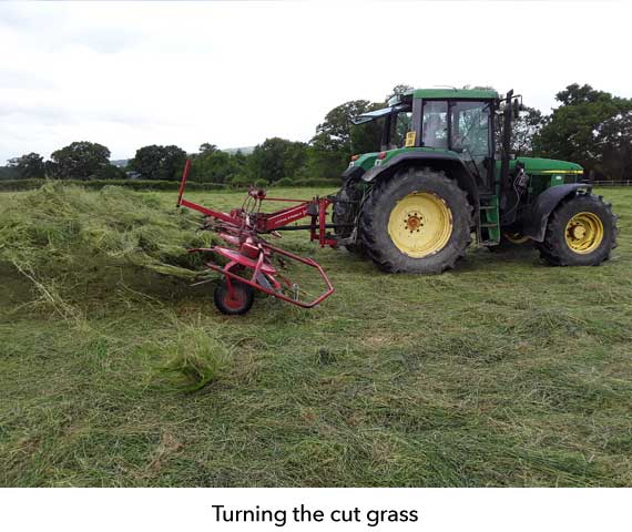 The grass needs to be turned to ensure even moisture content