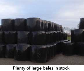 We have plenty of stock and can arrange delivery if necessary