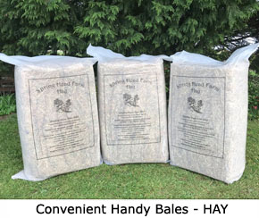 We offer Handy Bales of Spring Head Farm Hay, ideal for travelling