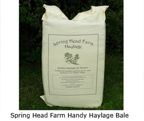 
                Spring Head Farm Handy Haylage Bale