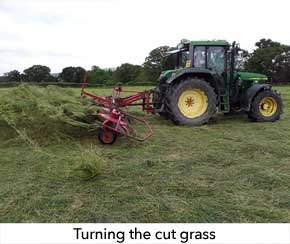 The grass needs to be turned to ensure even moisture content