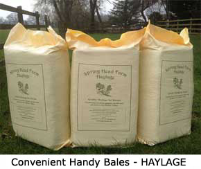 We offer Handy Bales of Spring Head Farm Haylage, ideal for travelling